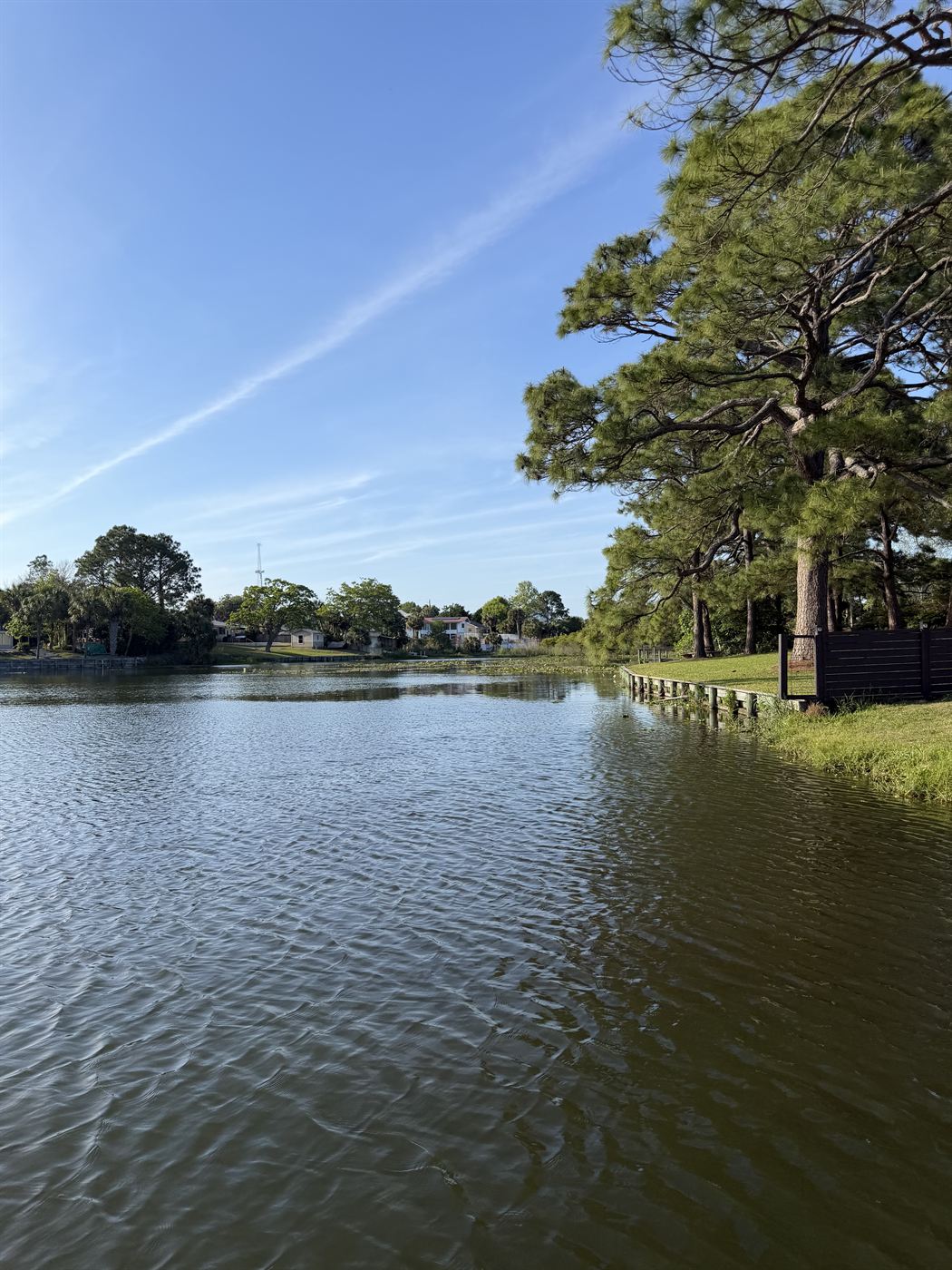 Pond after treatment - project 2