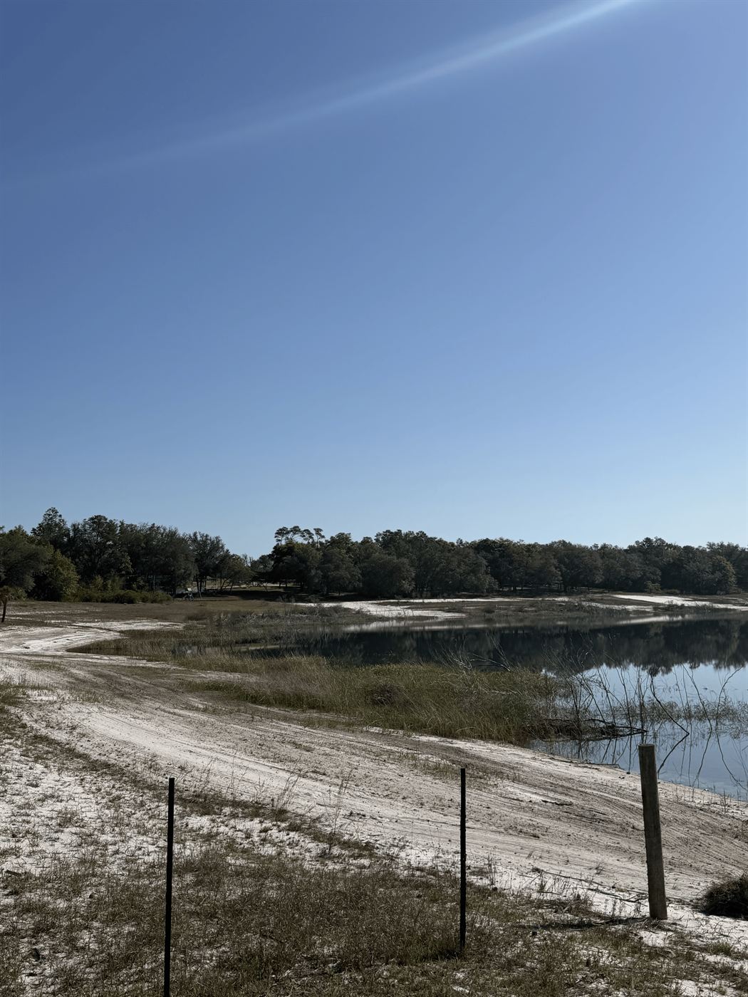 Pond before treatment - project 1