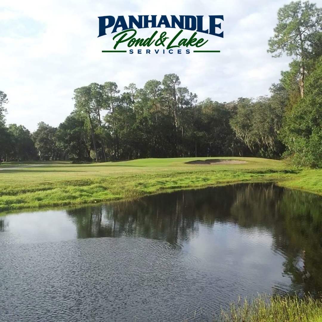Clean, well-maintained golf course pond