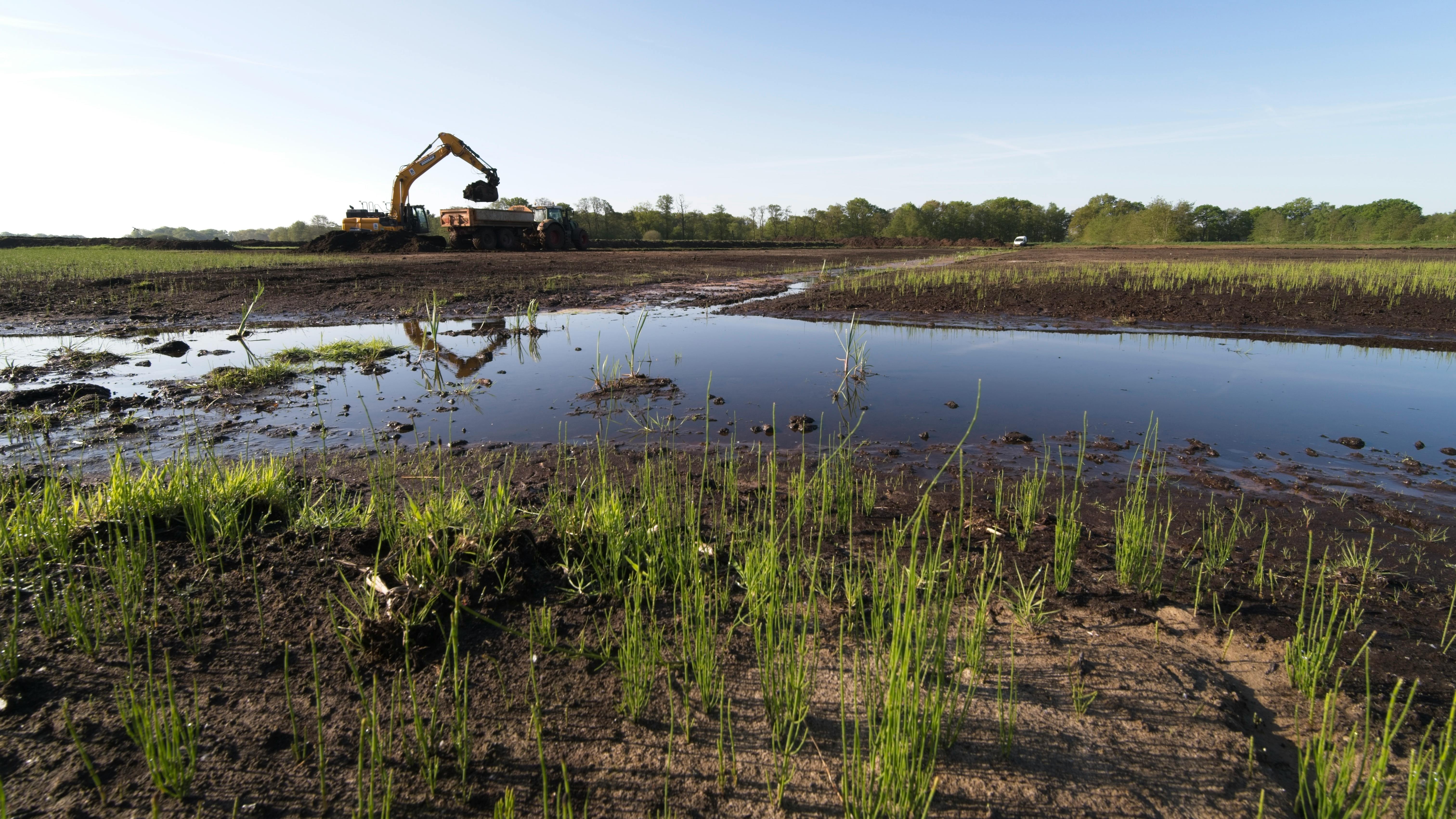 Wetland restoration - Panhandle Pond and Lake Services